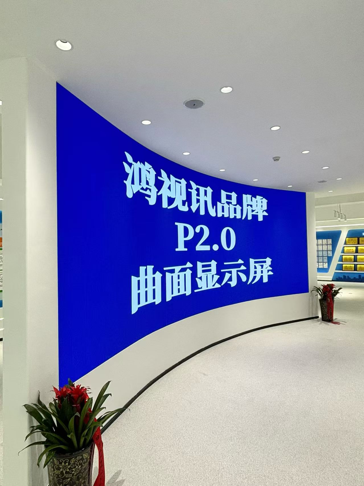 鸿视讯科技池州线上分站